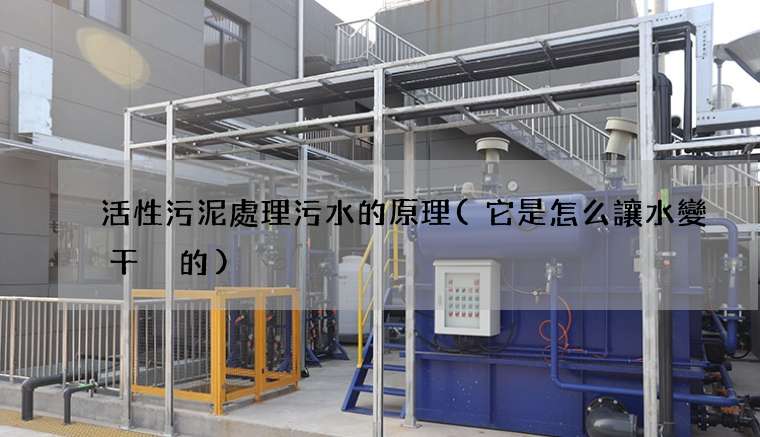 活性污泥處理污水的原理(它是怎么讓水變干凈的)